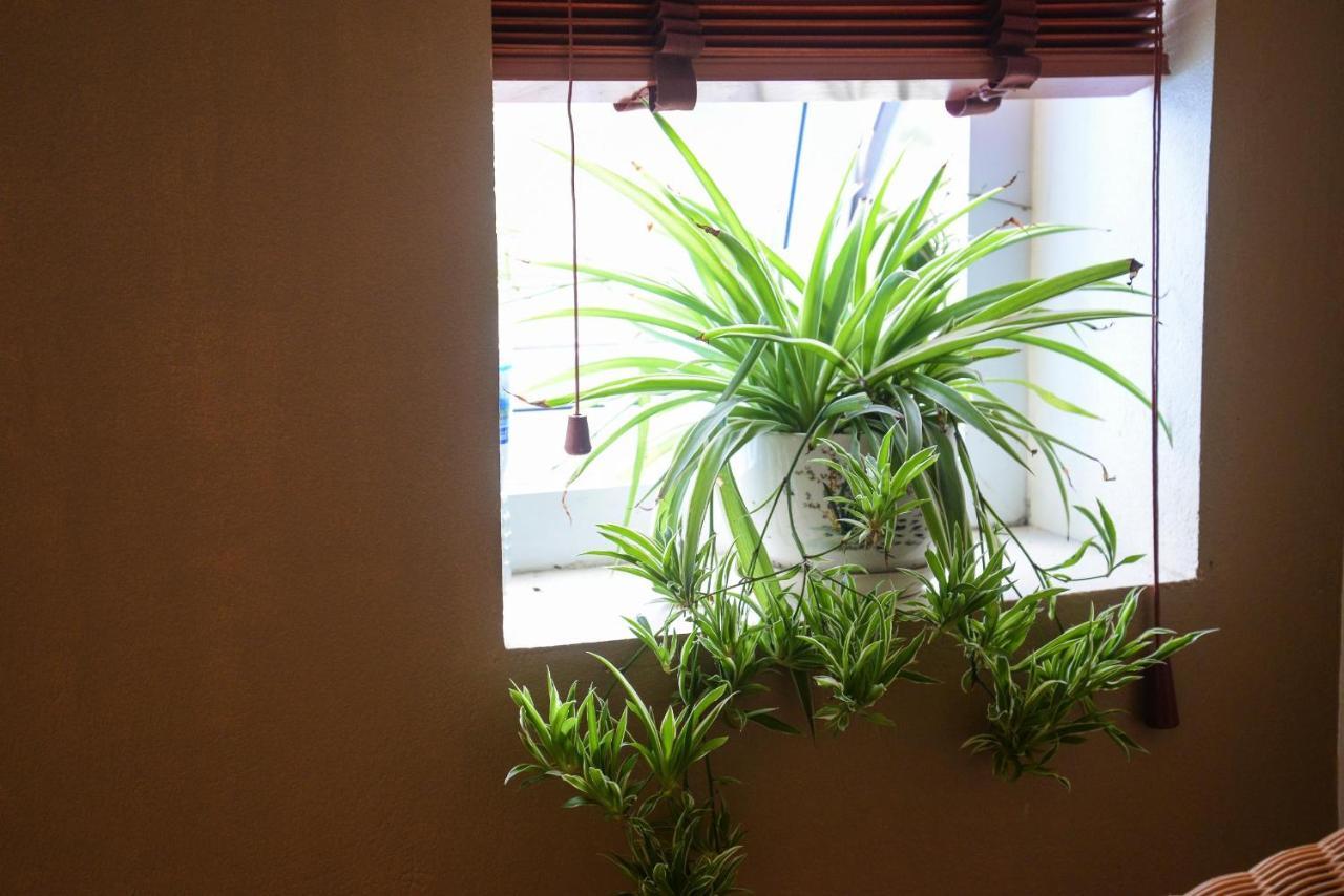 Ahoj Guest House Ха Лонг Екстериор снимка